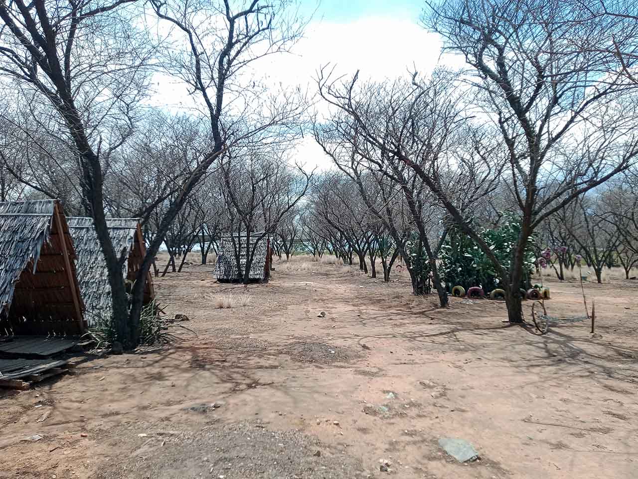 Taman Hutan Kota Kaombona