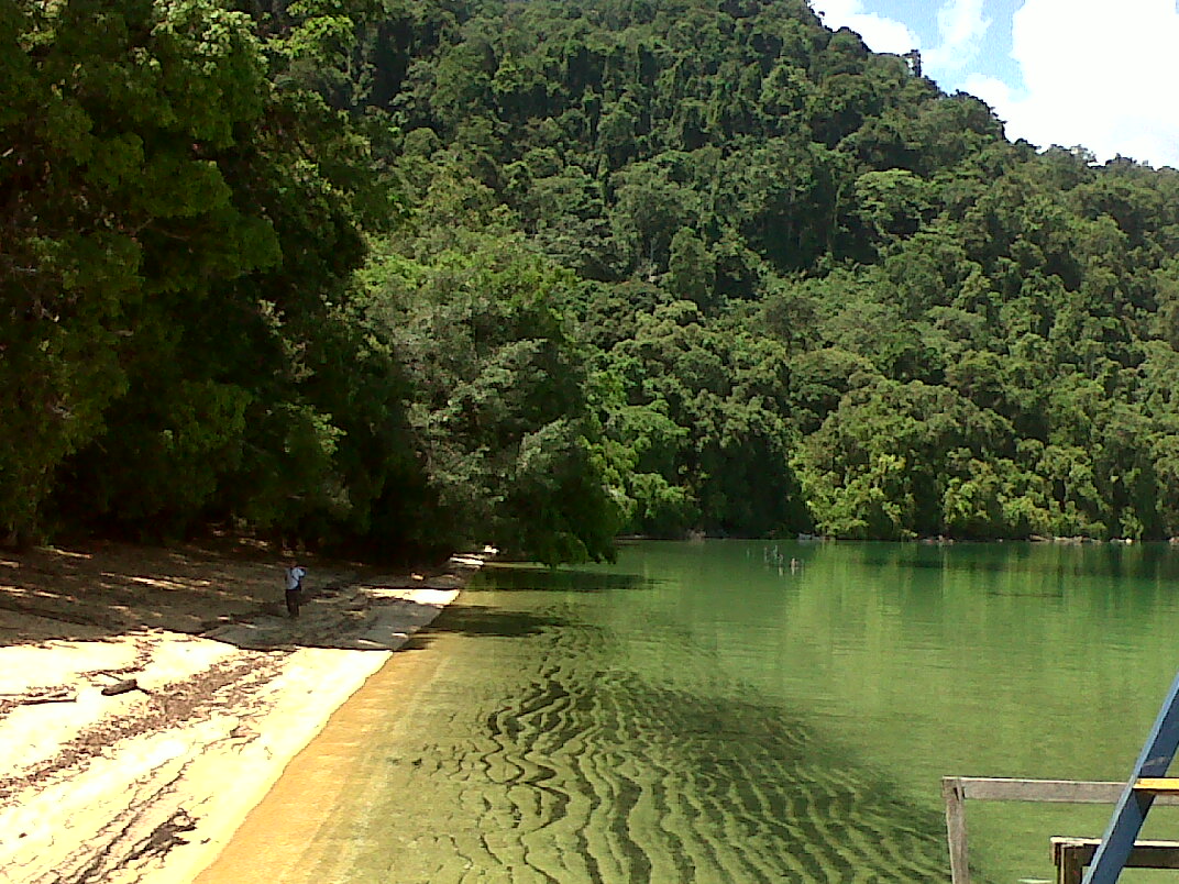 TWA Taman Anggrek Poso