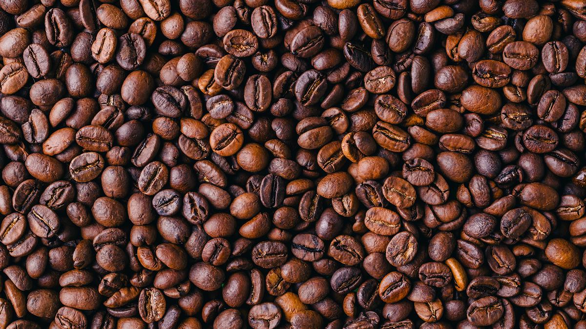 Kopi Tarinting Morowali